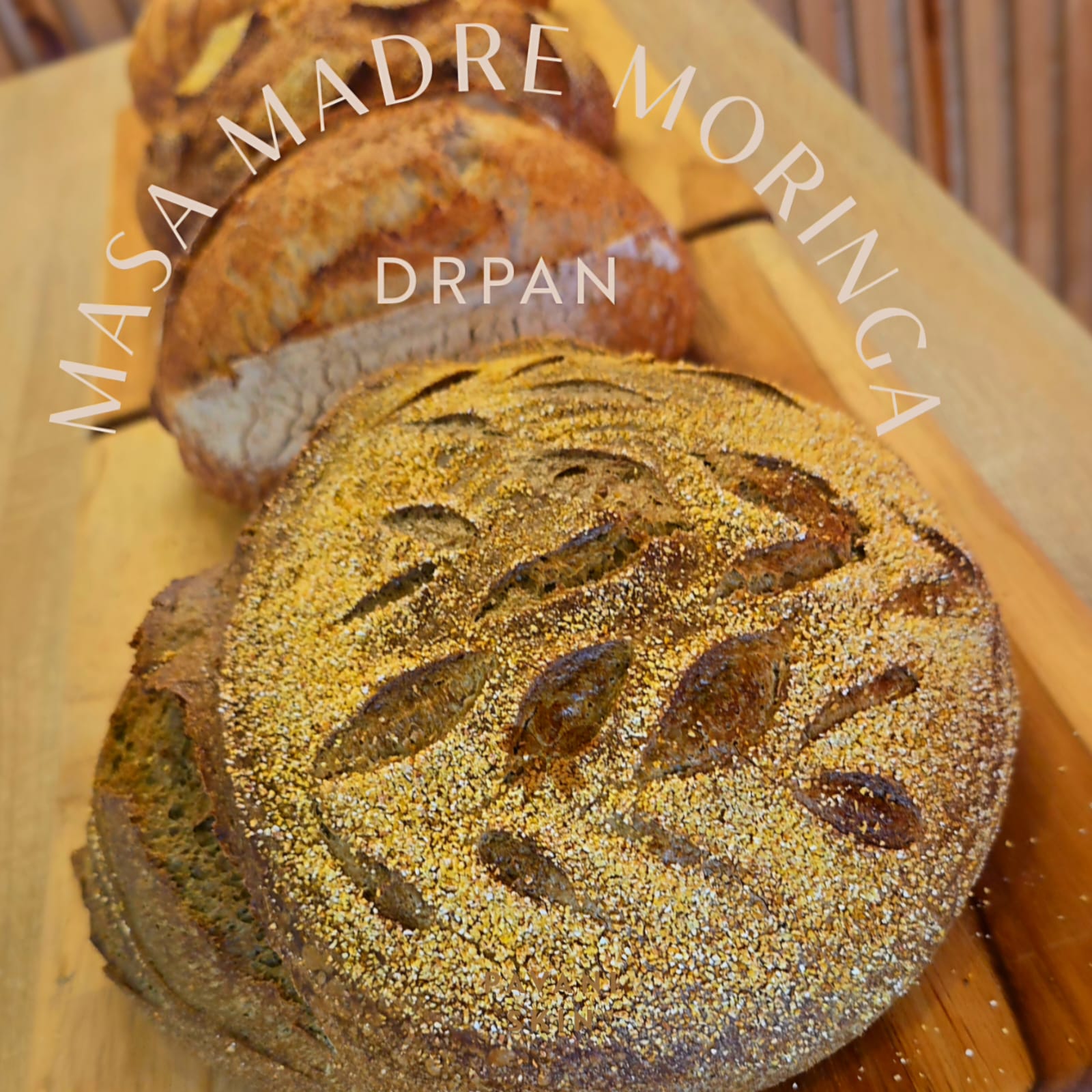 Descubre las propieda de la masa madre moringa, aqui en Drpan, Donde vendemos el mejor pan de masa madre en toda Guatemala.